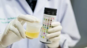 Does Alcohol Show up on A Drug Test for Work - South Shores Recovery